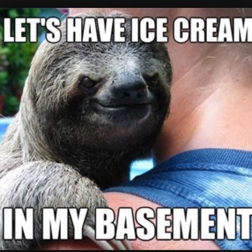 Sloth pics and news all day errday
