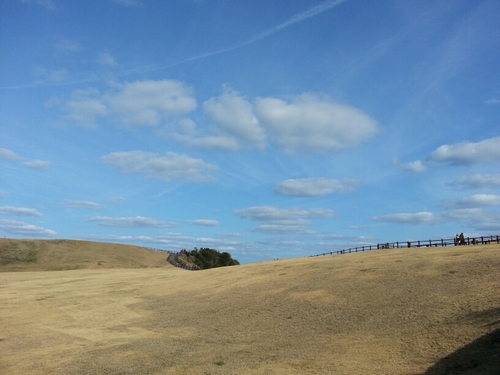 muchangri's profile picture. CNN