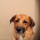 Robert Bright - @riccoups - Twitter