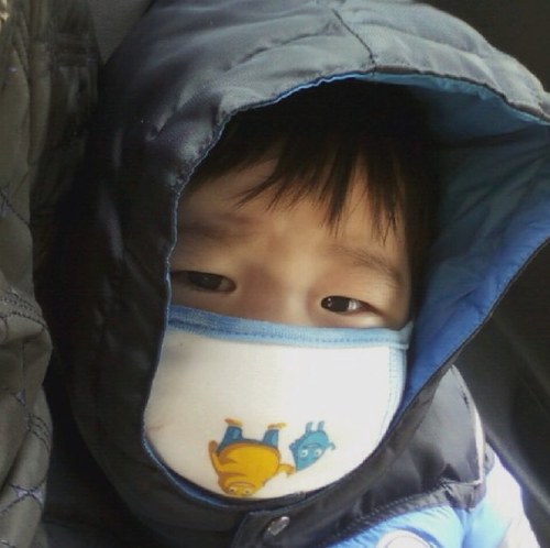 ssijinin's profile picture. 