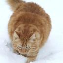 Johnny Ashe - @AsheJohnny - Twitter