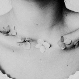 17 años, anorexica, depresiva y solitaria. Odio mi cuerpo, odio mi vida. Si pudieras leer mi mente, llorarias. 
              http://t.co/HVuvipAl8T