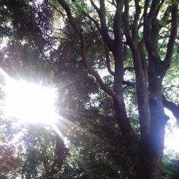 arakawadozaemon's profile picture. 貧乏です