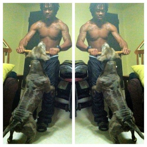 if yu aiine plukkin ya duckin|19|find my follow button