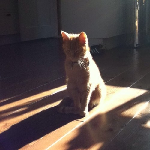 GwnNielsHaha's profile picture. Ik woon in :