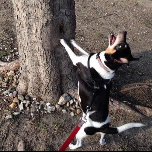 charles30309's profile picture. 