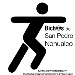 Bich@s de San Pedro Nonualco es la nueva organización de jóvenes voluntarios sampedranos. Bienvenidos/as al voluntariado por nuestro pueblo y su gente.