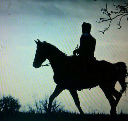 draklinscoggins's profile picture. 