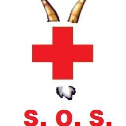 SiempreChivasMX's profile picture. El equipo nos necesita más que nunca!!