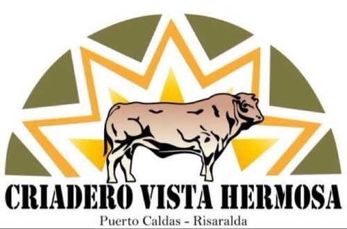 Criadero dedicado a la cría de ganado Blonde d'aquitaine, gyr, gyrolando plus y sus cruces. Pie de cria, preñeces, embriones, semen Info: 3175105820, 3113677731