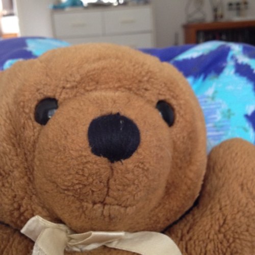 mikierae's profile picture. 