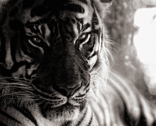 EDChkchu Profile Picture