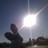 Nela_bangbang's profile image