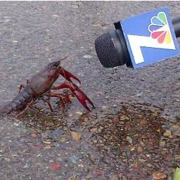 piton10kg's profile picture. 