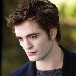 I love Twilight series and Edward is my husband!! I also love JB and The hunger games! Feel free to follow!3