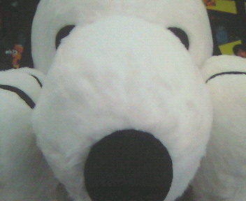 22Kumahalo's profile picture. オマエノソノクソッタレノセカイ
オレハドウシヨウモナクイトシイ

アイラブユーハサイキョウ!!!!!!

音楽は、音は、ずっと君に残るよ。