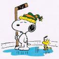 munech_i's profile picture. 
