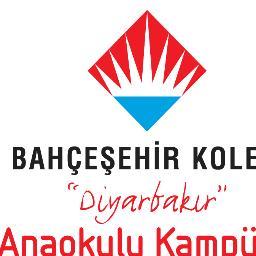 ANAOKULU21's profile picture. 