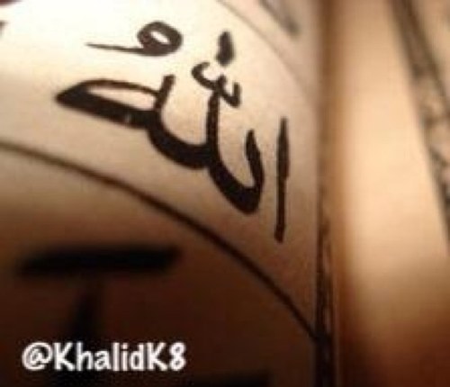 كل يوم تعيشه هو : هدية من الله . . فلا تضيعه بالقلق من المستقبل أو الحسرة على الماضي .. فقط قل توكلت على الله