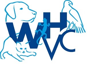 Not all veterinary practices are the same