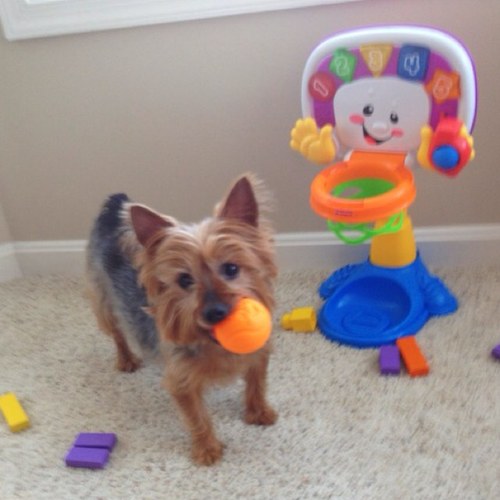 Yoliris37's profile picture. 