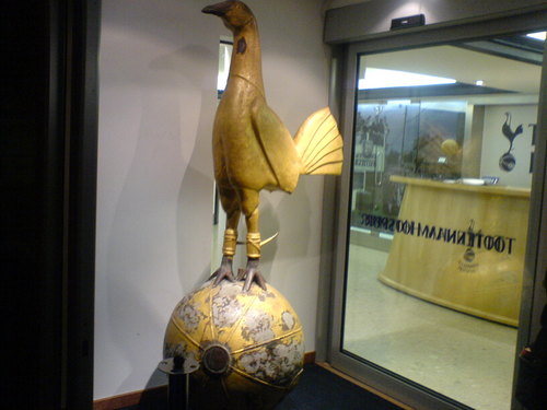 CollieT0pc4t's profile picture. 