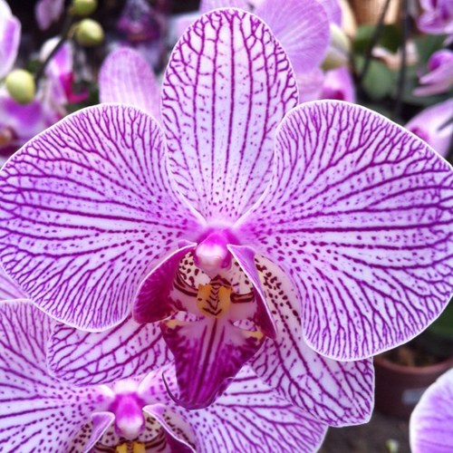 Cata2305's profile picture. 