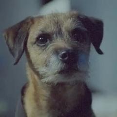 pandibobona's profile picture. Nippon feeling~