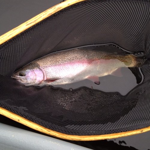 BC Interior Fly Fishing Specialists. We carry a wide range of Fly Fishing equipment and apparel, as well as an extensive range of conventional gear.