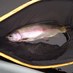 Trout Waters (@troutwatersbc) Twitter profile photo