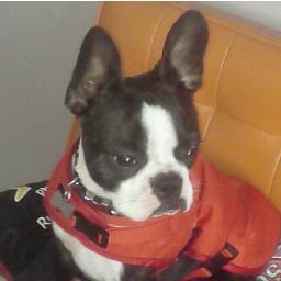 Jgreenbergs's profile picture. 