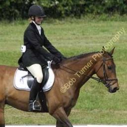 lydiacritchlow's profile picture. I'm a qualified McTimoney Animal Therapist. I also own and manage DIG IT Dog training Club. Specialising in treating competition dogs.