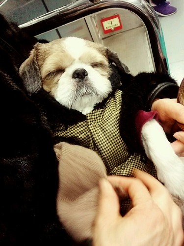 Gino8429's profile picture. 