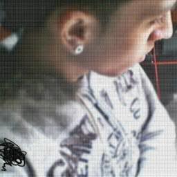 bernardo_bauer's profile picture. Sem bio D=