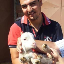 hasan__karakus's profile picture.