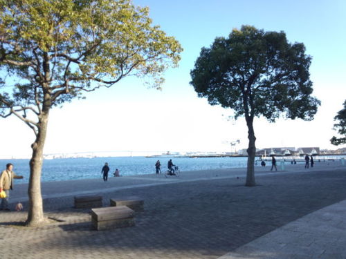 Mai928Happy's profile picture. 千葉県