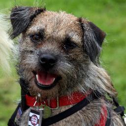 janekirkland2's profile picture. 