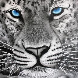 AirbrushARTbyB's profile picture. Airbrush Artist