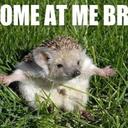 Andre Choo - @NewHarmony_27 - Twitter