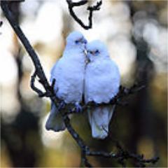 JoanneDockery2's profile picture. you cannot observe this