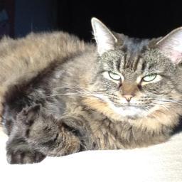 I'm rolling up my catnip and getting in your litter!