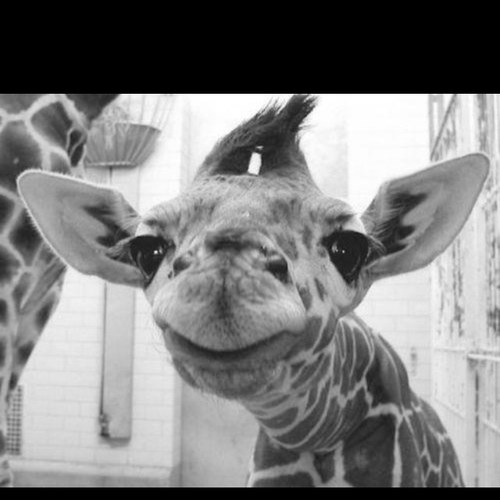 Friends. Relationships. Real life scenarios. 

They all happen to me too, & I have a lot of awkward things to say about them.
