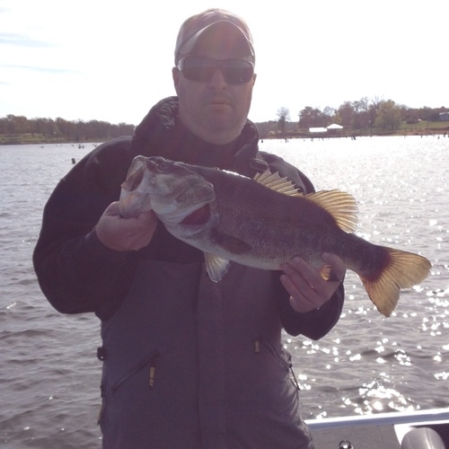 CodyBercegeay's profile picture. 