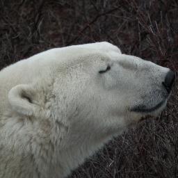 hilsa666's profile picture. 