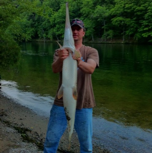 ripfletching's profile picture. 