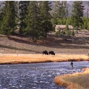 David Libby - @golibby - Twitter