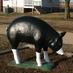 Scott Fleming (@flemfarm) Twitter profile photo