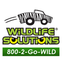 Follow us on Twitter to get periodic updates on job openings at Wildlife Solutions