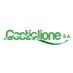 Castiglione SA (@castiglionesa) Twitter profile photo