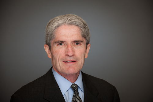 Restructuring Professional | President and Managing Director of Cedar Croft Consulting